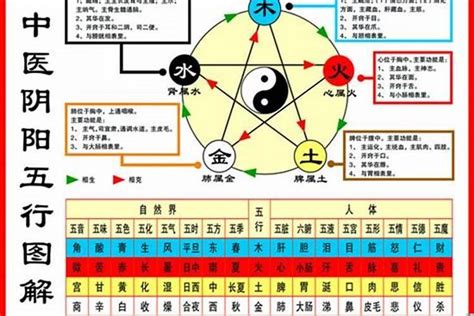 1984年五行属什么|84年属什么生肖 1984年出生人的性格特点